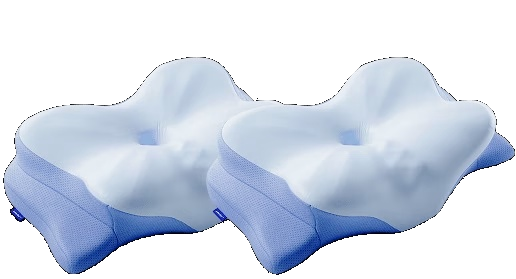 Two Derila Ergo Pillows in the two-pillow set